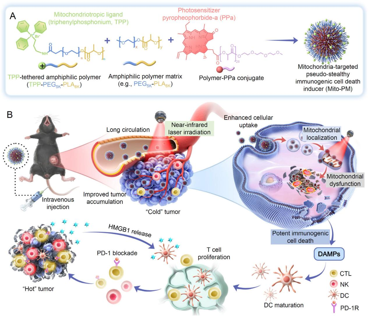 1761790057279233.png 图片 2.png