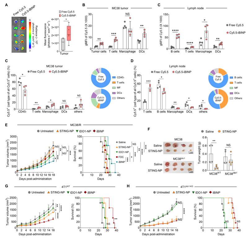 1761953464272262.png a4a1a969ea8de470a6c54e6647ae992.png