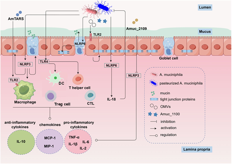 1768465812237750.png 图片 2.png